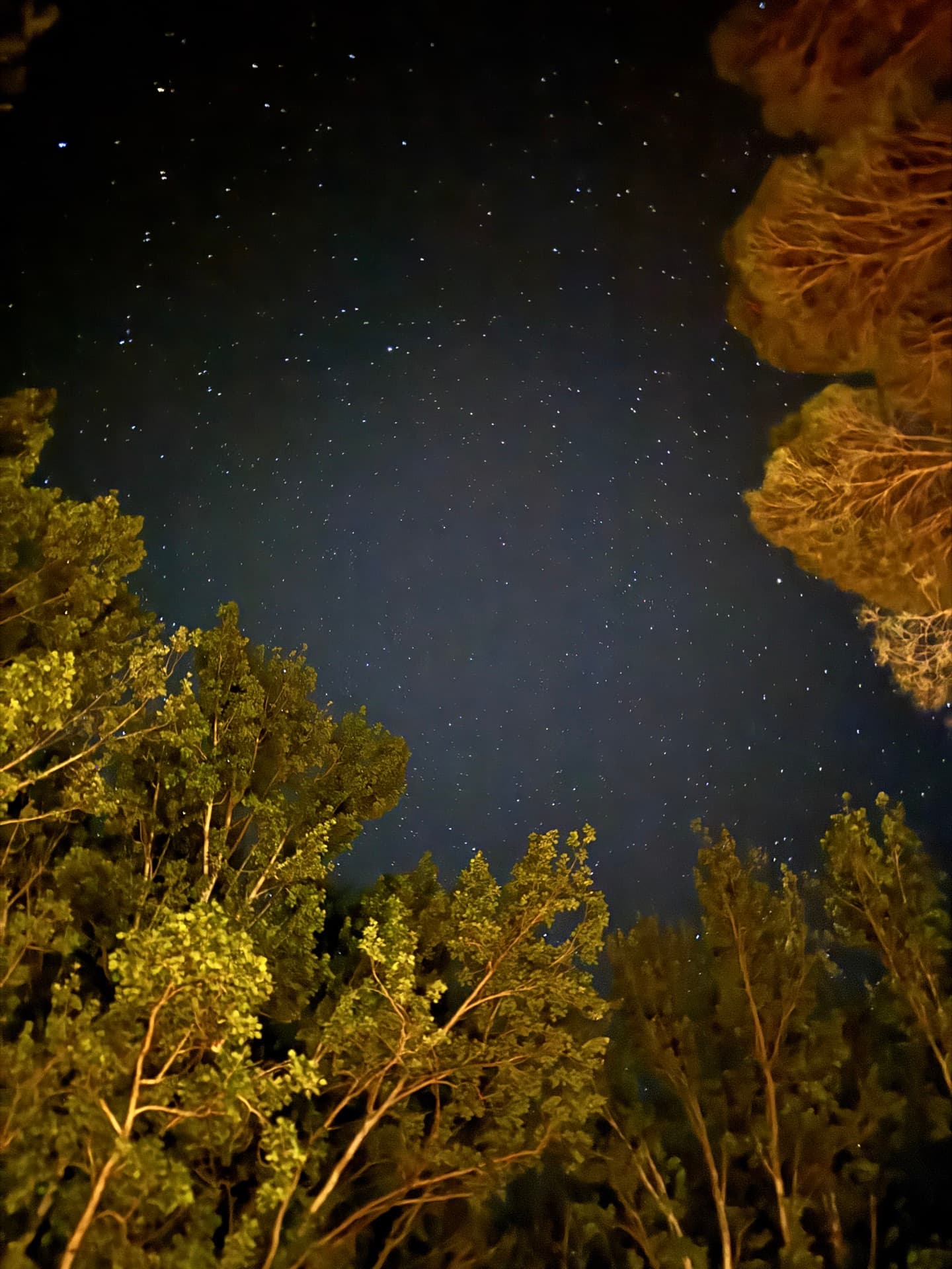 La noche desde el balcón
