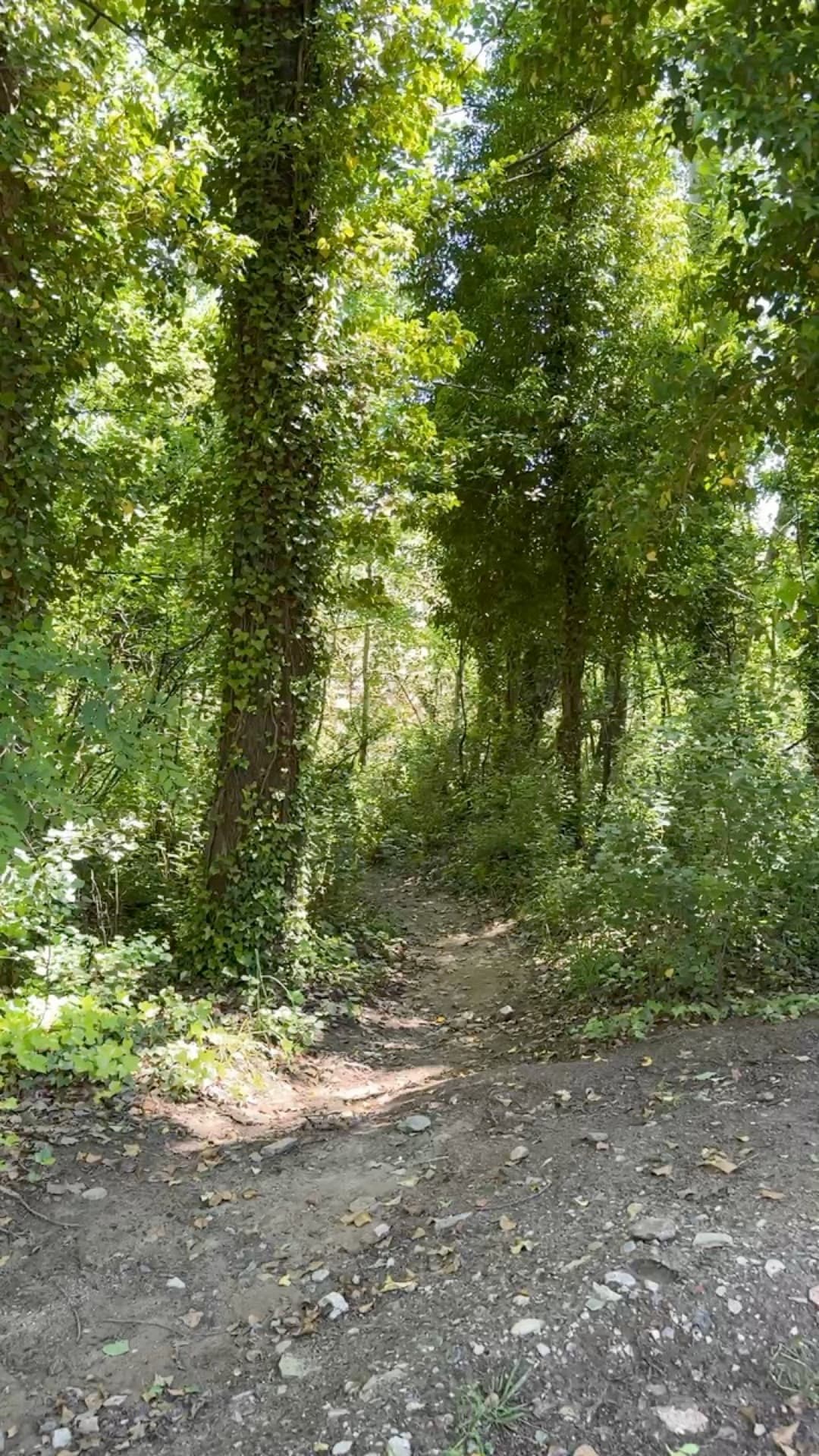 Recorriendo el arroyo